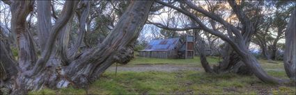 Wallace Hut - VIC (PBH4 00 13126)